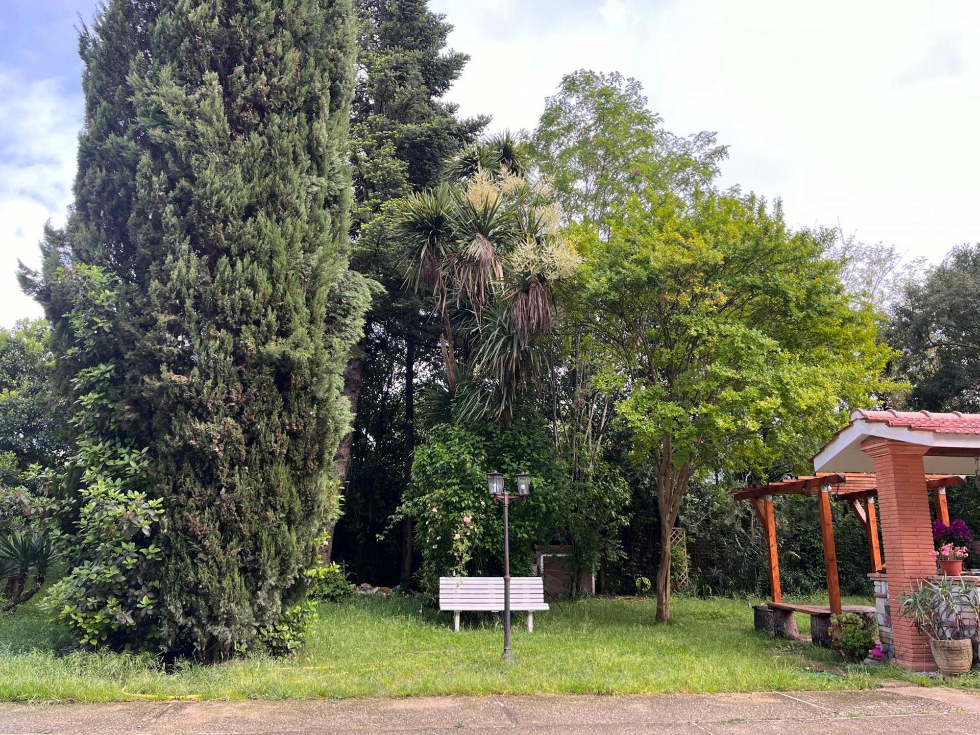 Apartamento Nel Giardino Segreto San Giorgio a Liri Exterior foto